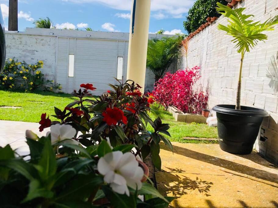 Апартаменты Casa Em Barreirinhas 01 Экстерьер фото